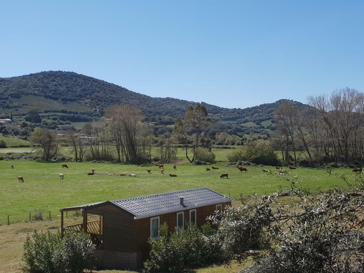 Ferme De Chiuni Cargèse Exterior foto