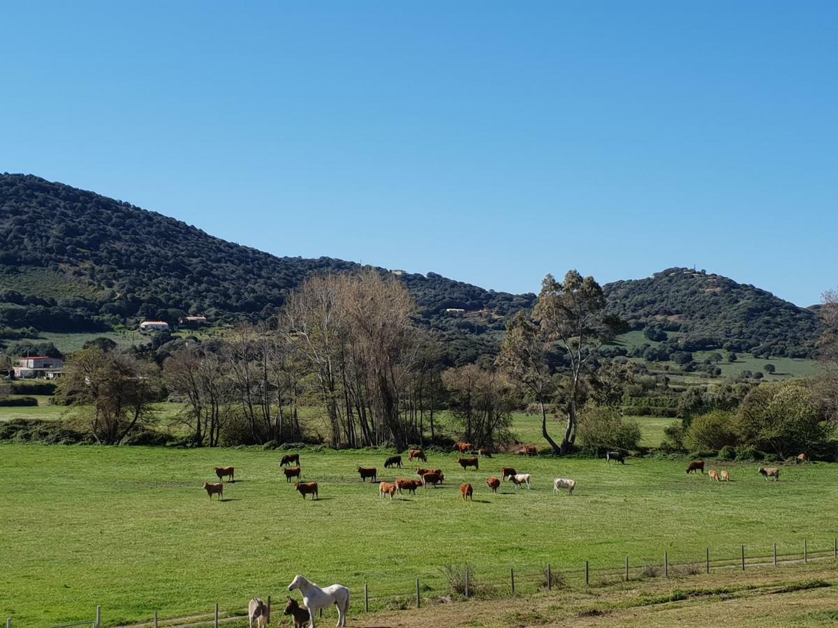 Ferme De Chiuni Cargèse Exterior foto